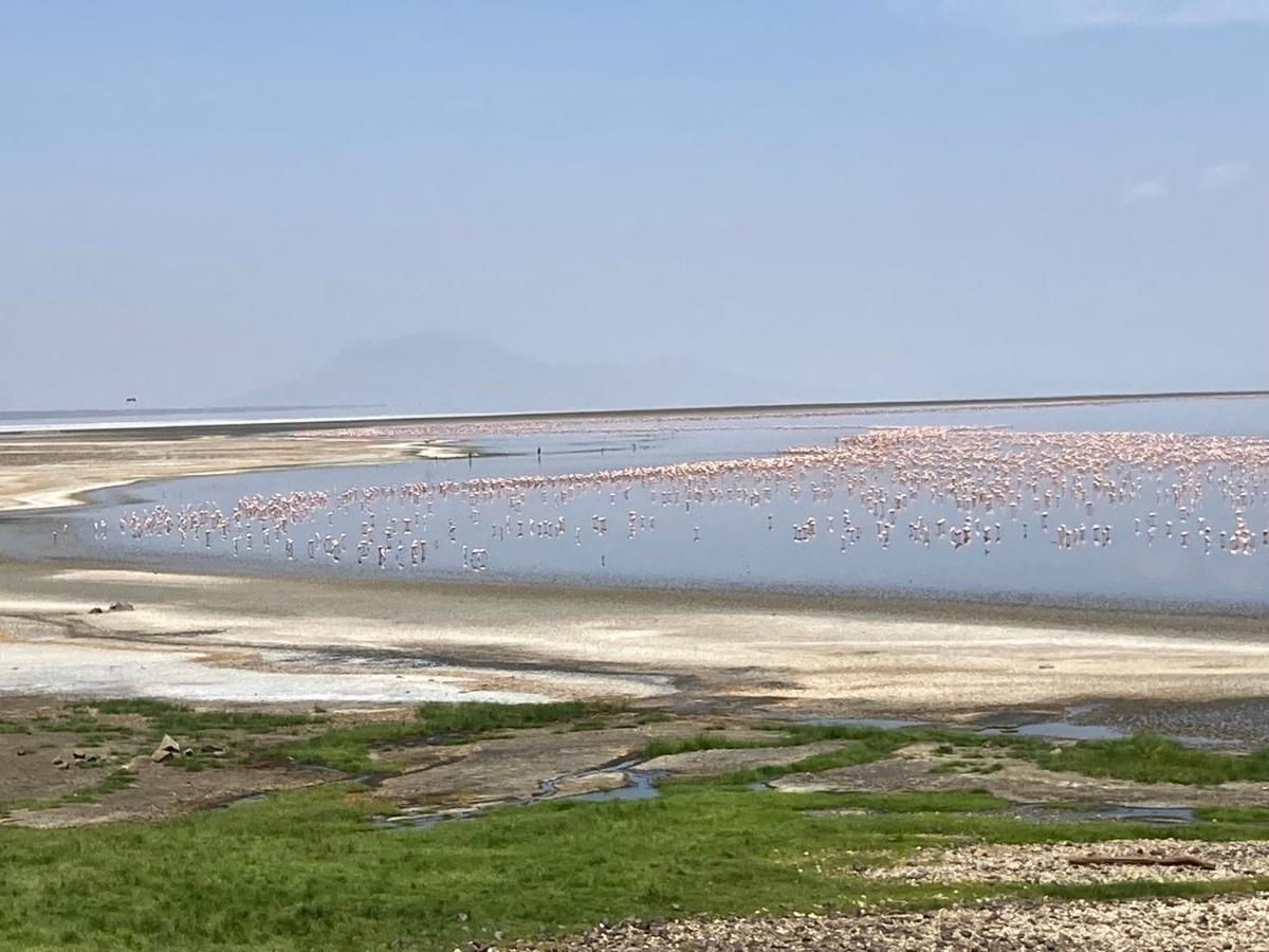 Lake Natron Maasai Guesthouse Mtowabaga ภายนอก รูปภาพ