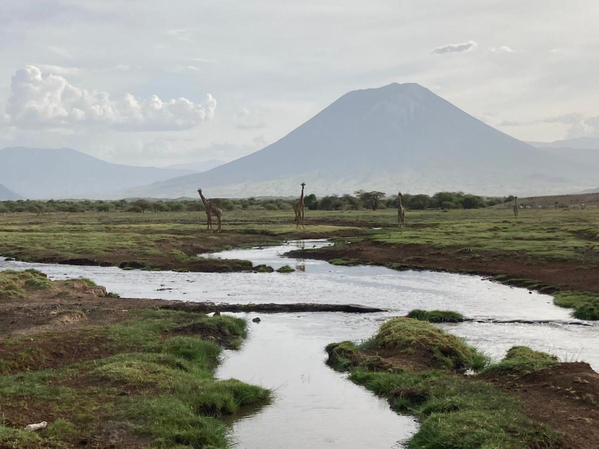 Lake Natron Maasai Guesthouse Mtowabaga ภายนอก รูปภาพ