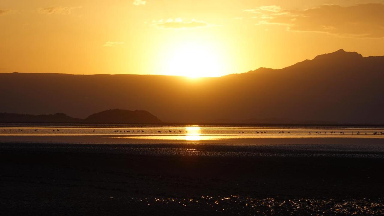 Lake Natron Maasai Guesthouse Mtowabaga ภายนอก รูปภาพ
