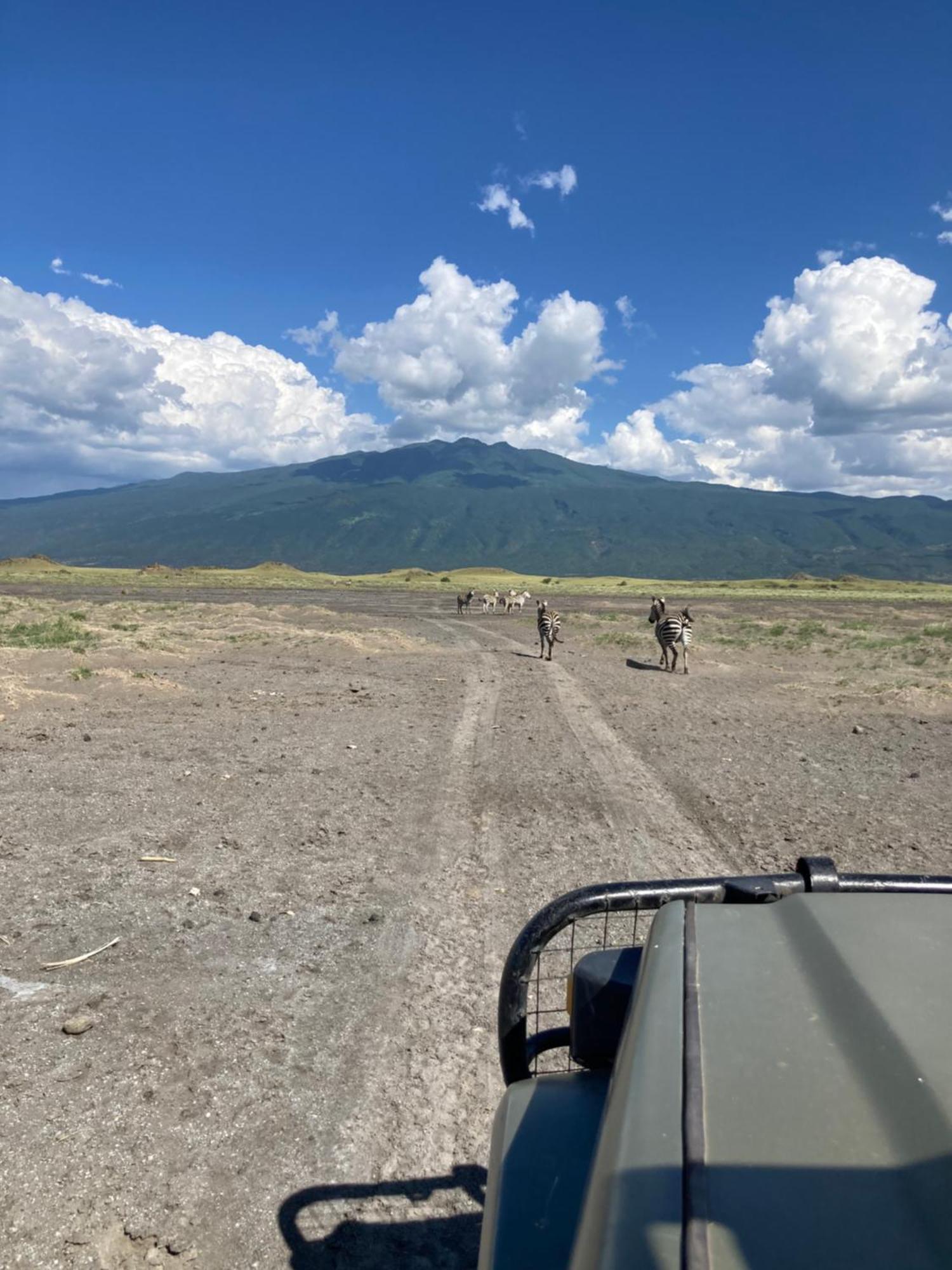 Lake Natron Maasai Guesthouse Mtowabaga ภายนอก รูปภาพ